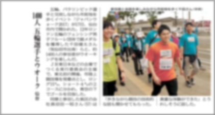 報告書の主な内容