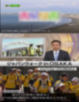 報告書の主な内容